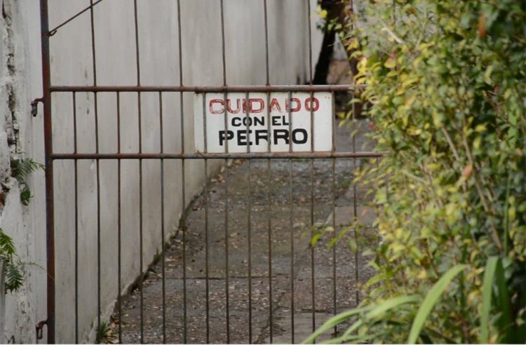 Agresiones de perros contra personas plantean serios problemas de seguridad y convivencia