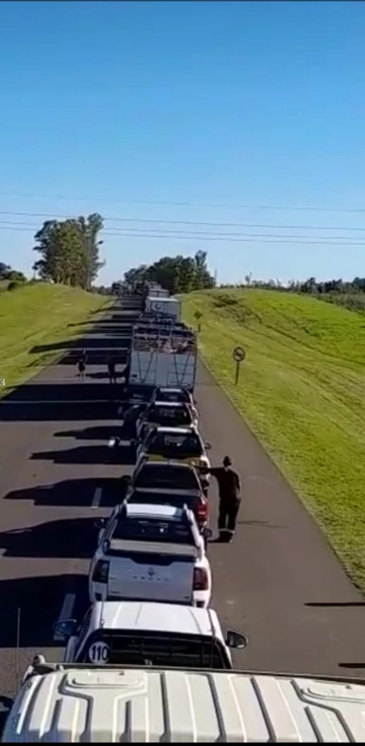 Obras en puente de Ruta 5 genera más de 2 horas de espera