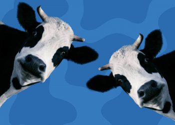 Lechería y monopolio