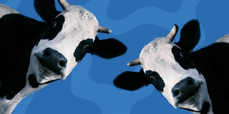 Lechería y monopolio