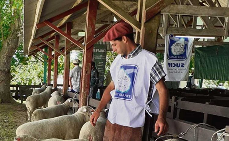 Las 10 de La Mañana: Silviano Evora