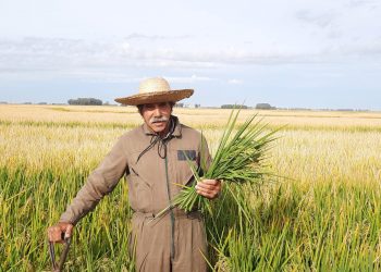 10 de La Mañana: Selomar Sosa Deniz