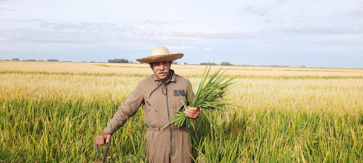 10 de La Mañana: Selomar Sosa Deniz