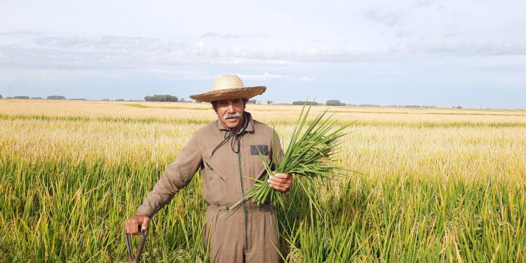 10 de La Mañana: Selomar Sosa Deniz