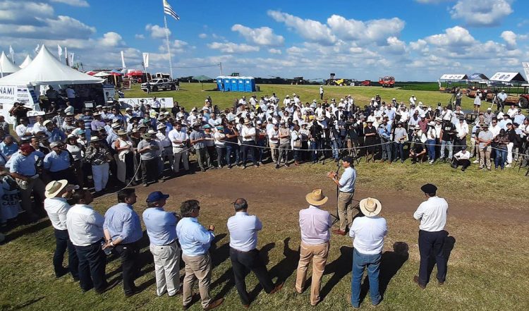 Jorge A. Rodríguez: “Hace 30 años empezaron 19 empresas y un sueño”