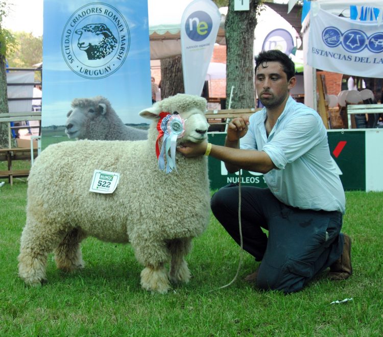 Tras el éxito en Melo y Durazno, La Fronteriza se prepara para el Prado