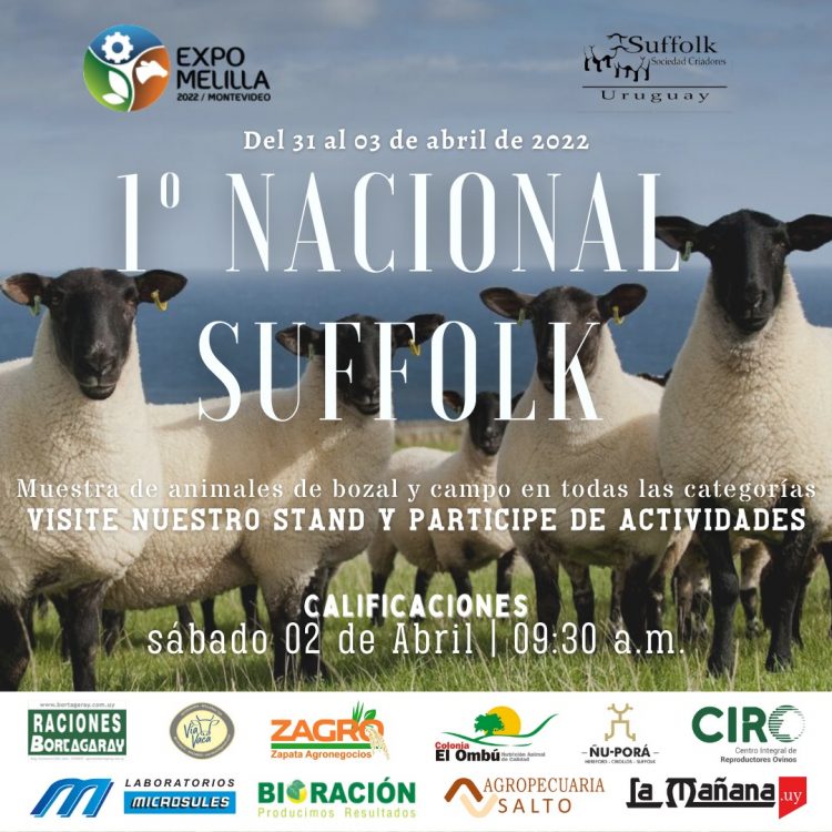 Con 58 animales confirmados, el sábado 2 de abril se realizará la Primera Nacional Suffolk