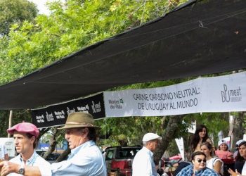 Del Lector: Los costos concretos del cipayismo ambiental