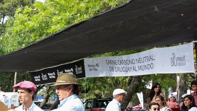 Del Lector: Los costos concretos del cipayismo ambiental