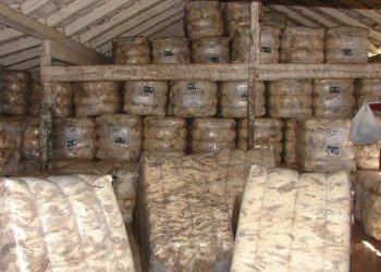 Semana de estabilidad para las lanas