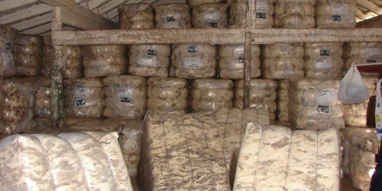 Semana de estabilidad para las lanas