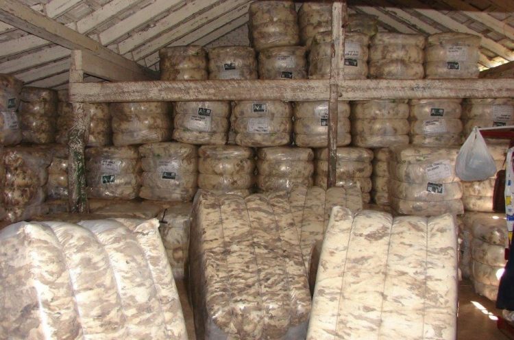 Semana de estabilidad para las lanas