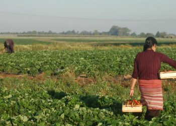 8M: “La mujer siempre estuvo presente en el medio rural”