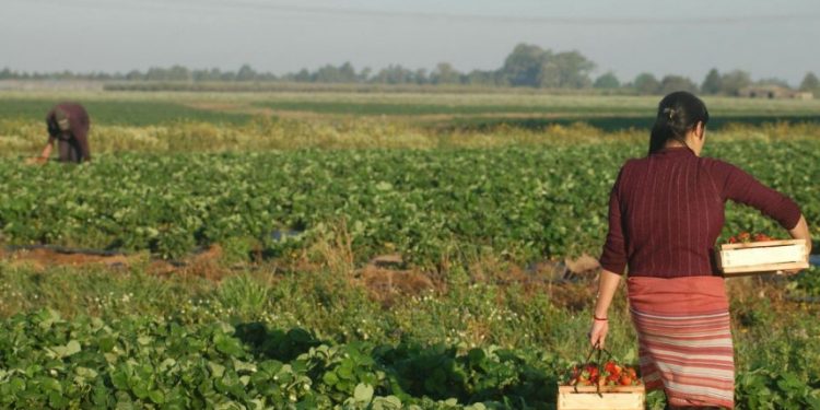 8M: “La mujer siempre estuvo presente en el medio rural”