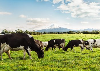Leve baja de Fonterra no afecta al mercado