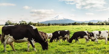 Leve baja de Fonterra no afecta al mercado