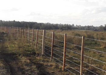 Durazno: Vecinos reclaman que el intendente Vidalín “cumpla con lo que prometió”