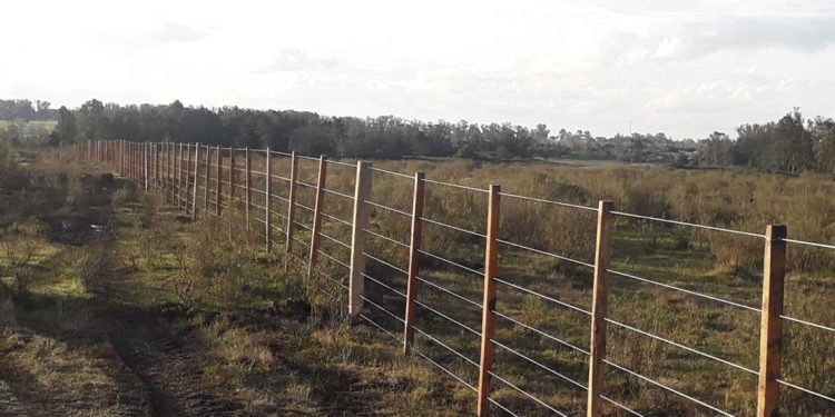 Durazno: Vecinos reclaman que el intendente Vidalín “cumpla con lo que prometió”