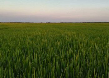 Las escuelas agrarias buscan la excelencia educativa