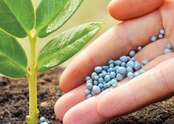 Crece la preocupación por la suba de fertilizantes