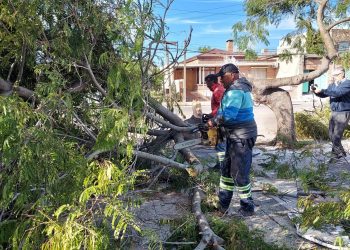 Besozzi destacó la rápida respuesta de la población ante temporal de Mercedes