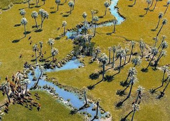 Al turismo de Rocha le falta la visión académica