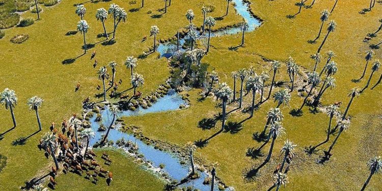 Al turismo de Rocha le falta la visión académica