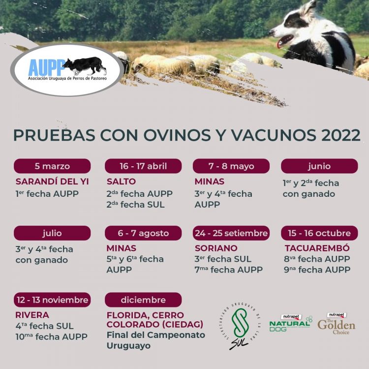 La Asociación Uruguaya de Perros de Pastoreo “va creciendo y los objetivos se van concretando”