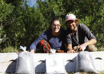 Compostar: el arte de cerrar el ciclo