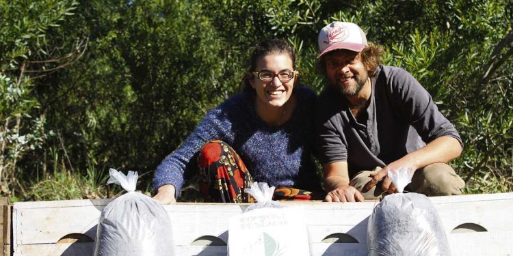 Compostar: el arte de cerrar el ciclo