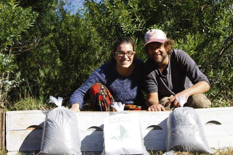 Compostar: el arte de cerrar el ciclo