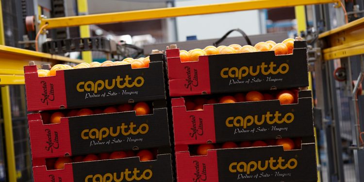 Al comenzar la zafra citrícola, Frutura tomó el control de Citrícola Salteña