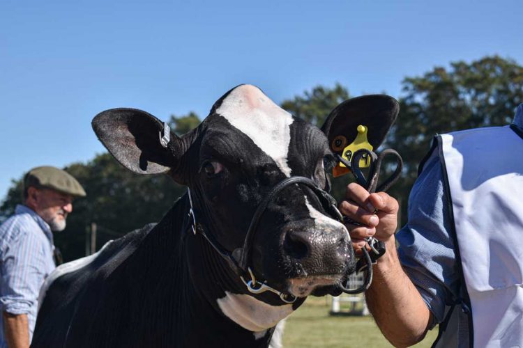 Este año Expo Melilla “fue la mejor” de todas, dijo Andrea Galeano, jefe de Exposiciones de ARU