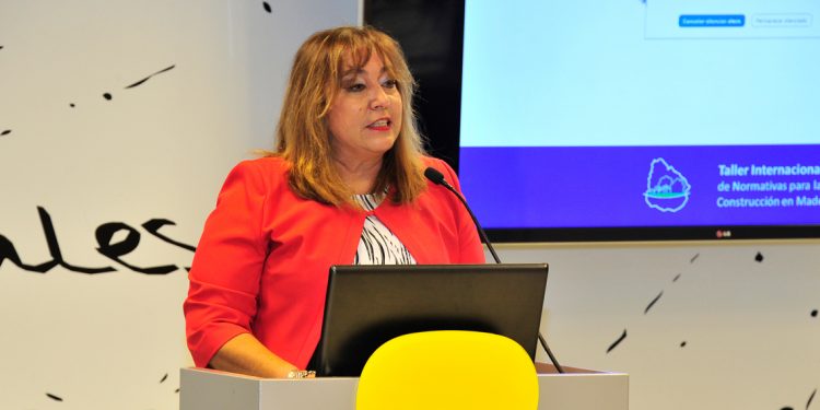 Ministra Moreira anunció nuevos planes de viviendas en madera y destacó sus ventajas
