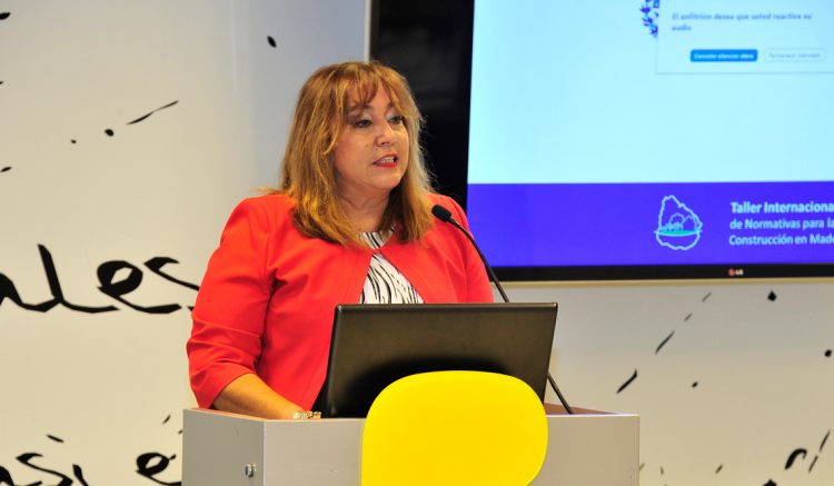 Ministra Moreira anunció nuevos planes de viviendas en madera y destacó sus ventajas