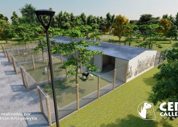 Avanza en el país el programa de albergues para animales implementado en la LUC