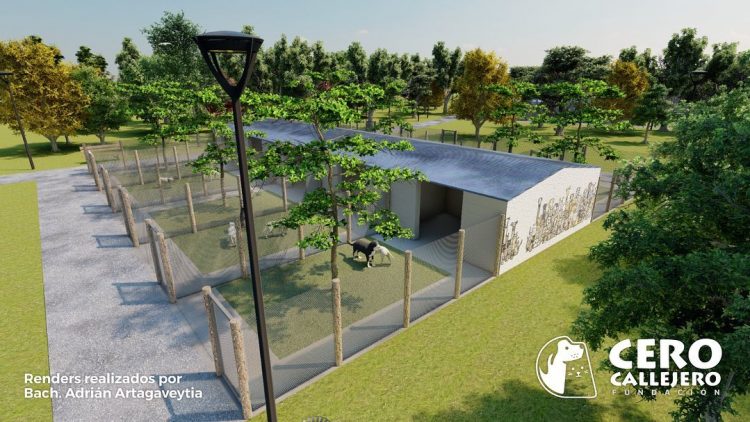 Avanza en el país el programa de albergues para animales implementado en la LUC