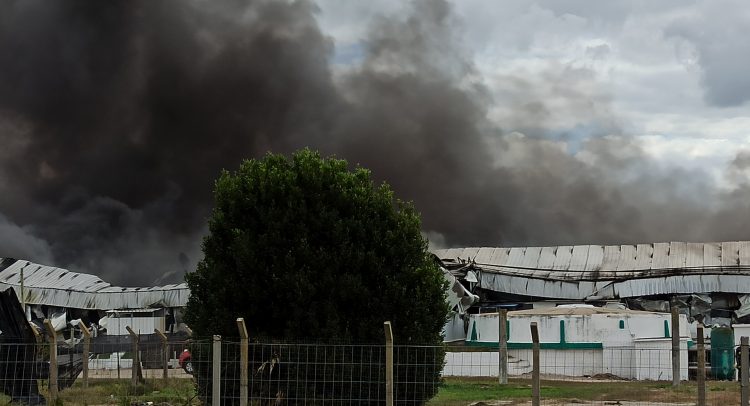 Voraz incendio consumió gran parte del frigorífico La Celita en ruta 5 a la altura de Mendoza Grande