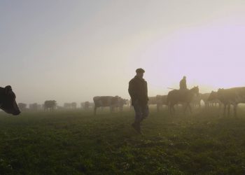 Se tensa el conflicto lácteo, los productores dicen que el sindicato “falta a la verdad”