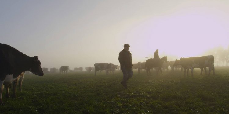 Se tensa el conflicto lácteo, los productores dicen que el sindicato “falta a la verdad”