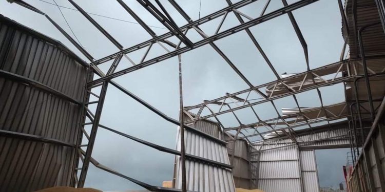 Fuerte turbonada destruyó galpones en planta de silos de Rincón de Ramírez en Treinta y Tres