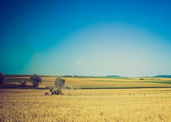 Próximo invierno y primavera tendrán lluvias por debajo de lo normal