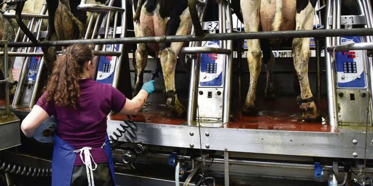 El relevo generacional y la falta de leche son los principales problemas de la lechería