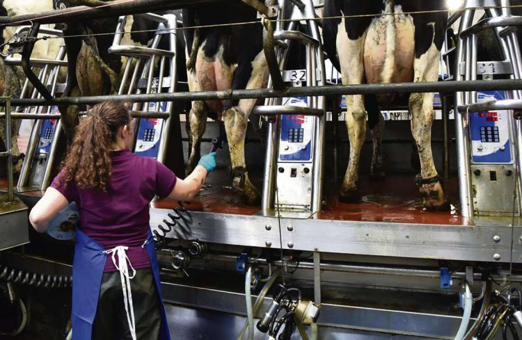 El relevo generacional y la falta de leche son los principales problemas de la lechería