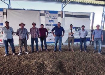 Finaliza la mejor zafra de ganados lecheros de los últimos años