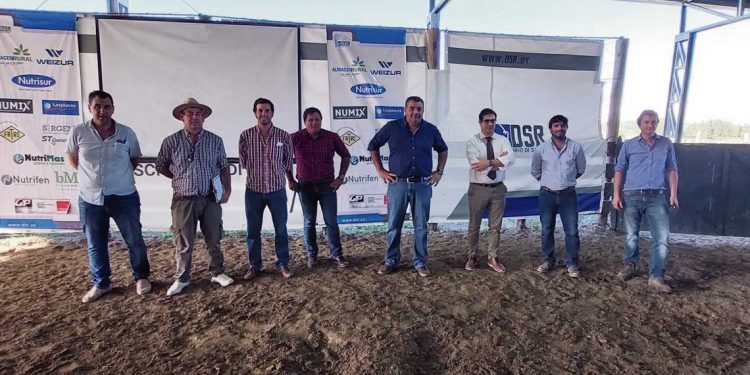 Finaliza la mejor zafra de ganados lecheros de los últimos años