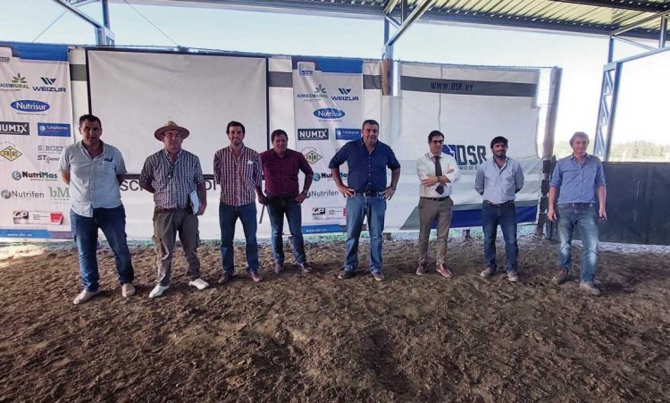 Finaliza la mejor zafra de ganados lecheros de los últimos años