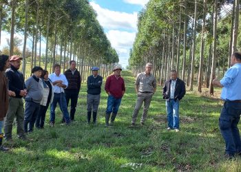 Diputado Menéndez: Es posible forestar sin desplazar la ganadería