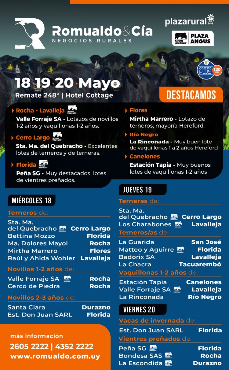 El mercado de ganados “sigue demandado, ágil y firme”