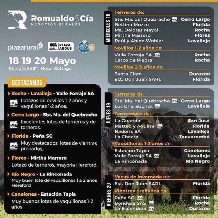 El mercado de ganados “sigue demandado, ágil y firme”